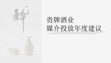贵牌酒业媒介投放年度建议方案