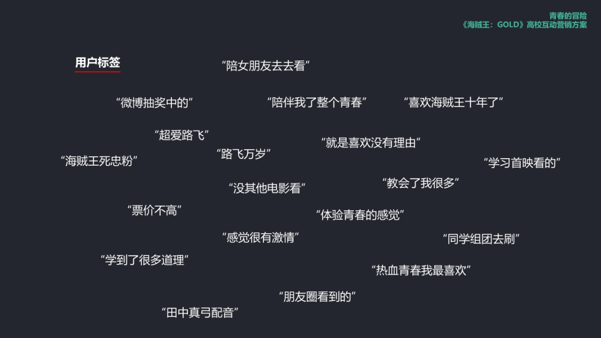 海贼王剧场版校园营销方案_第8页