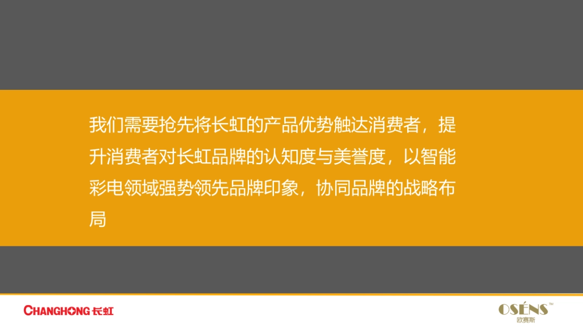 长虹2017年年度数字营销 _第3页