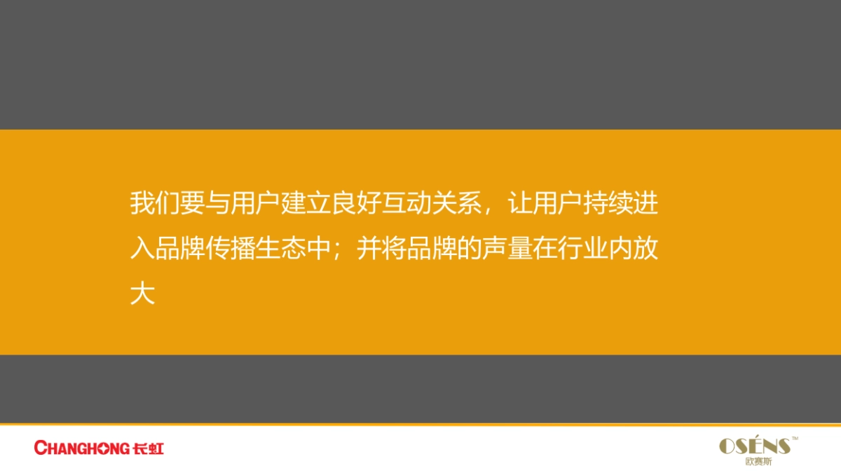长虹2017年年度数字营销 _第5页