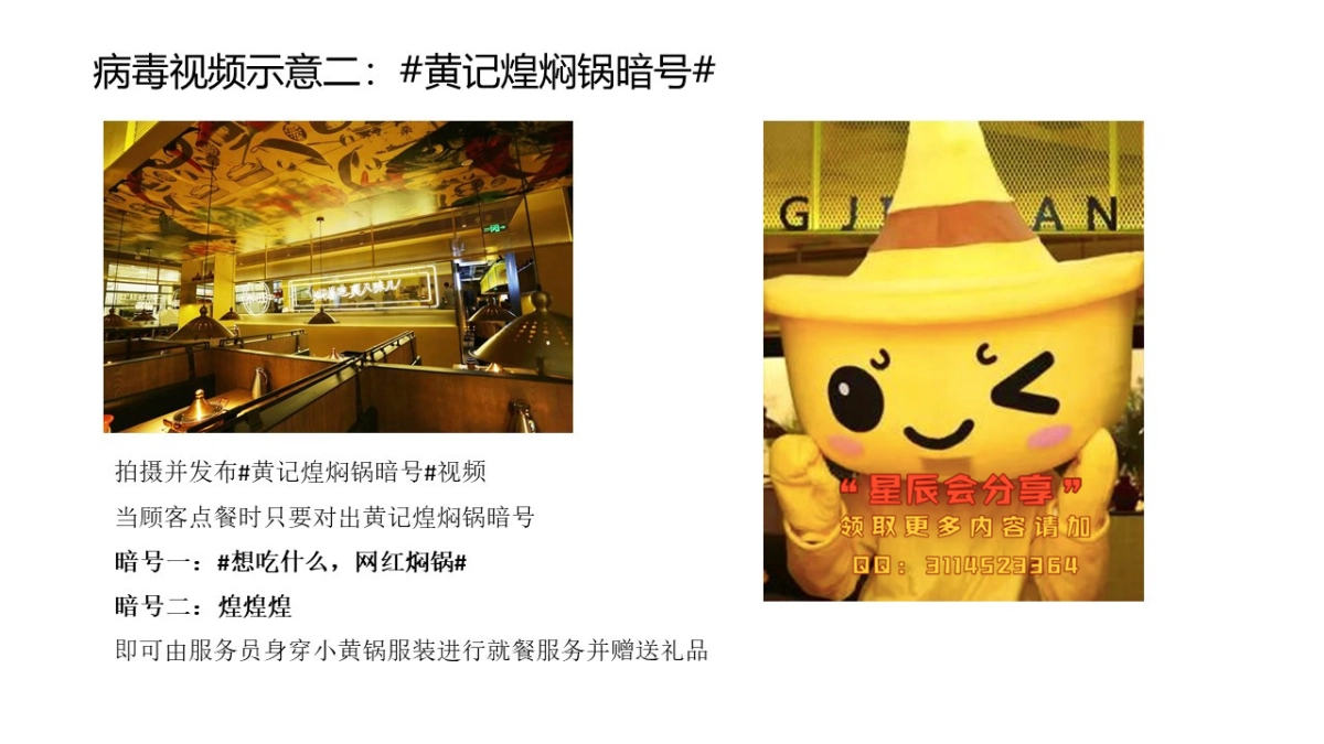 黄记煌病毒视频营销_第10页