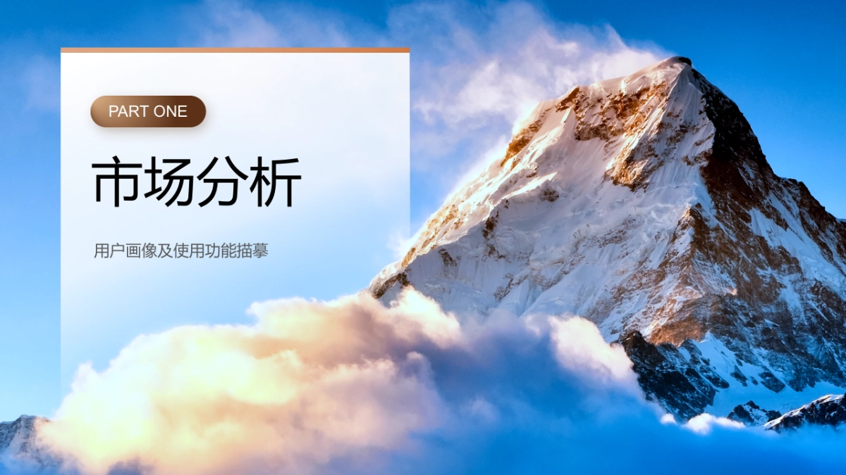 康舒乐老年纸尿裤渠道营销方案_第3页