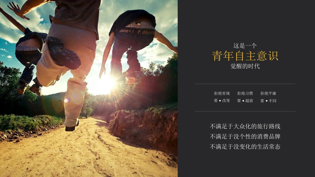 蚂蜂窝摩登乐旅营销案_第2页