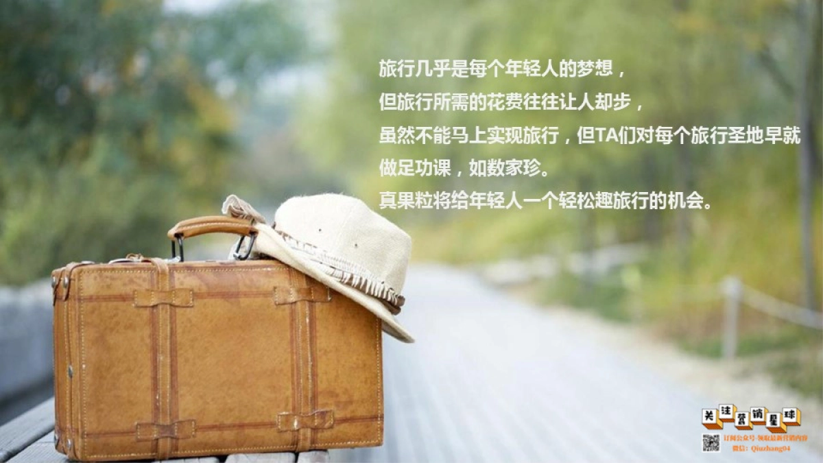 蒙牛真果粒数字营销方案（isobar） _第7页