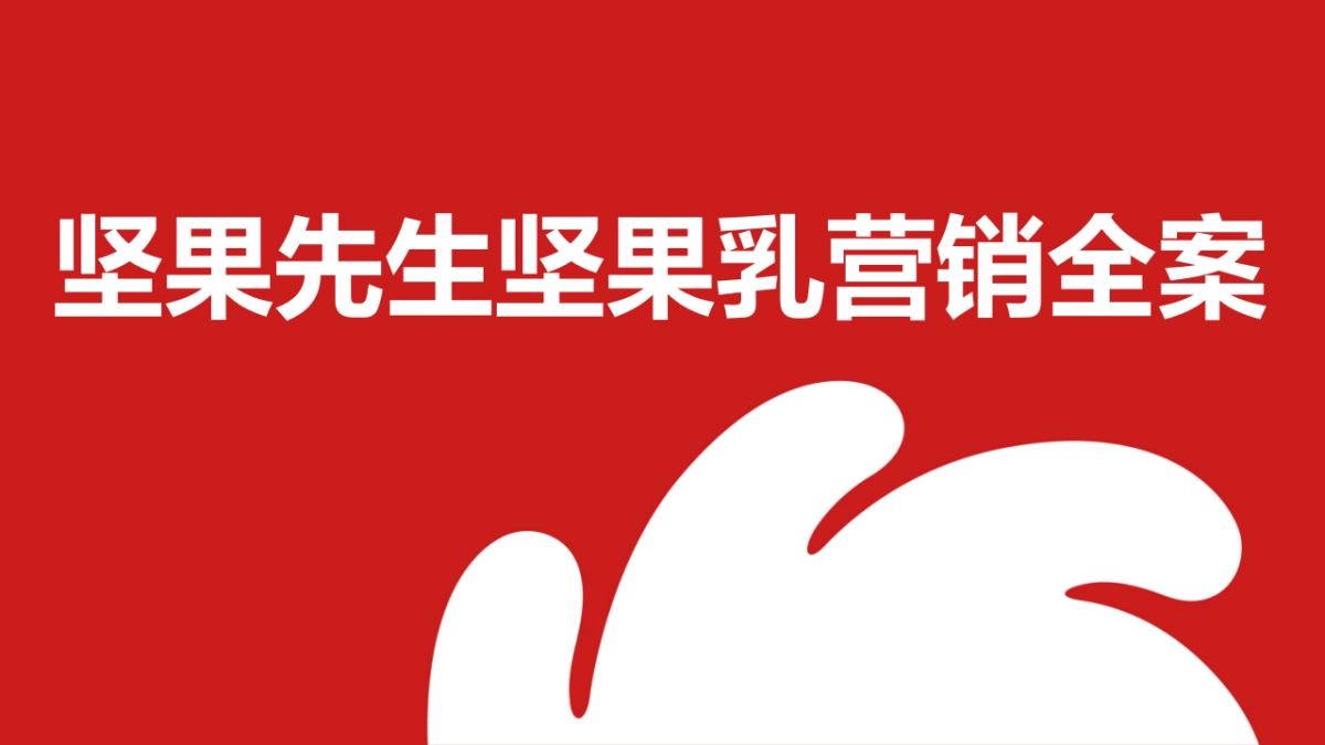 洽洽坚果先生营销全案_第1页