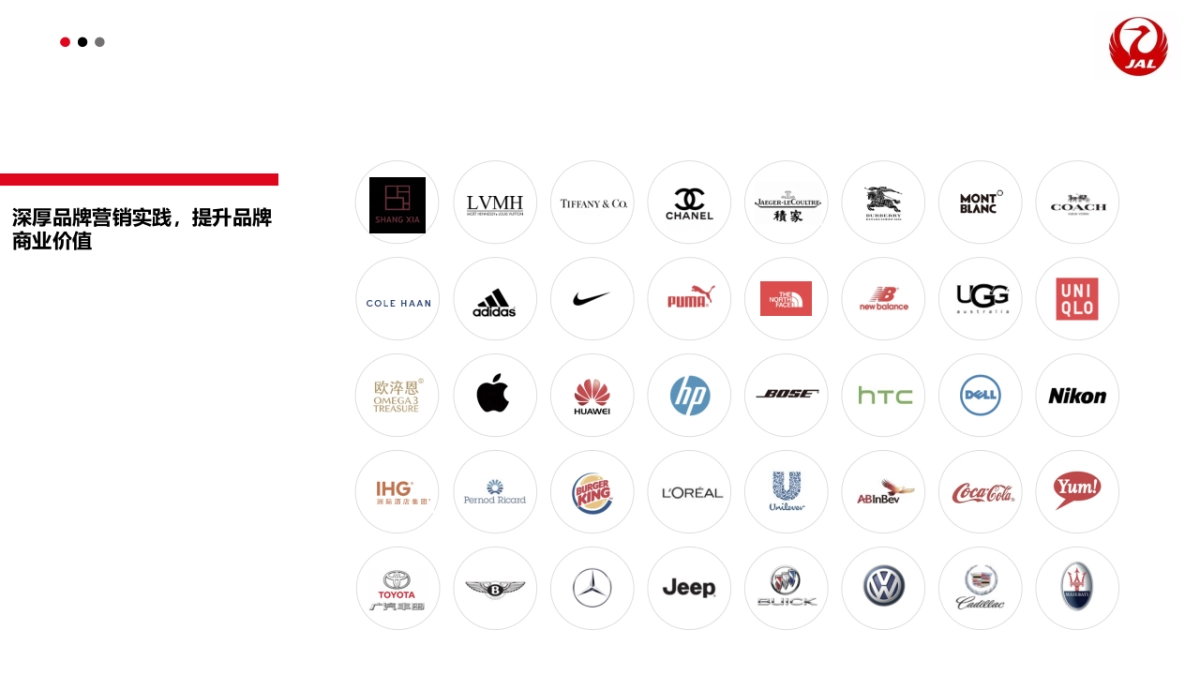 日本航空全年营销方案_第5页