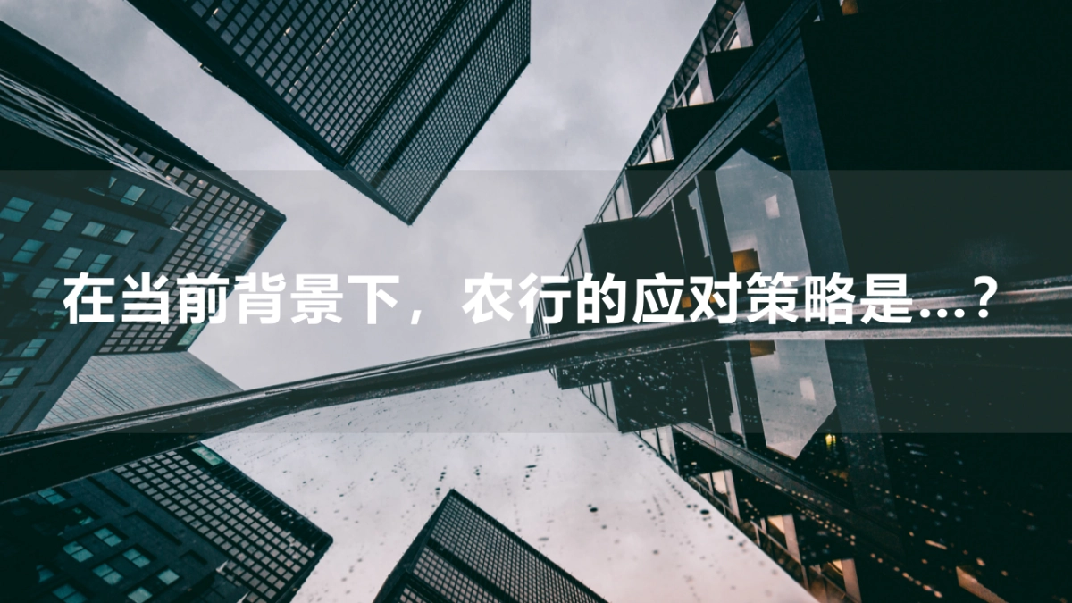 商业银行全年营销策划案_第7页