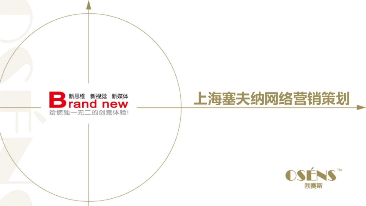 上海塞夫纳智能健康家居网络营销策划方案_第1页