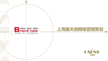 上海塞夫纳智能健康家居网络营销策划方案