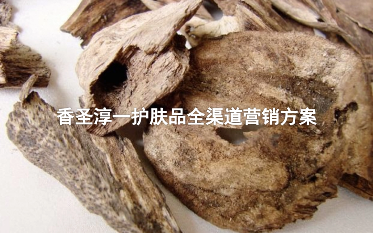 香圣淳一护肤品全渠道营销方案_第1页