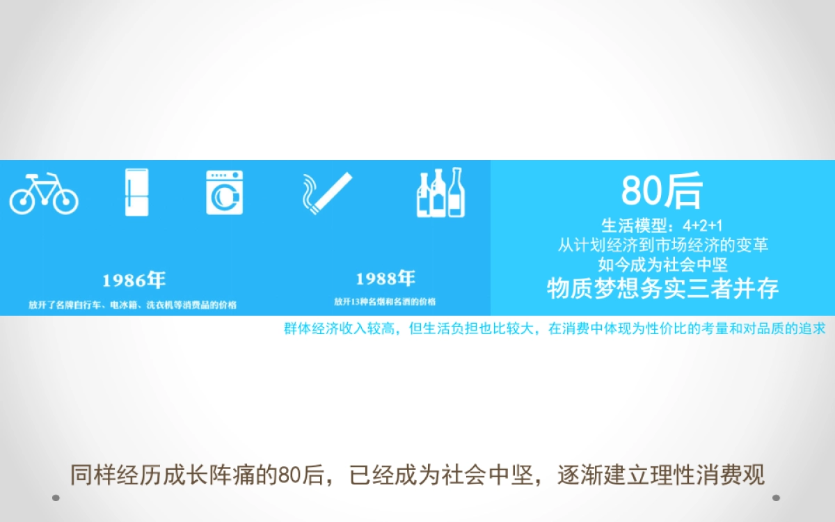 香圣淳一护肤品全渠道营销方案_第5页