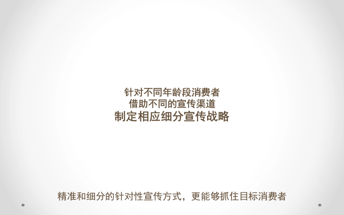 香圣淳一护肤品全渠道营销方案_第7页