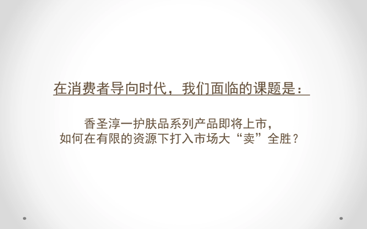 香圣淳一护肤品全渠道营销方案_第9页