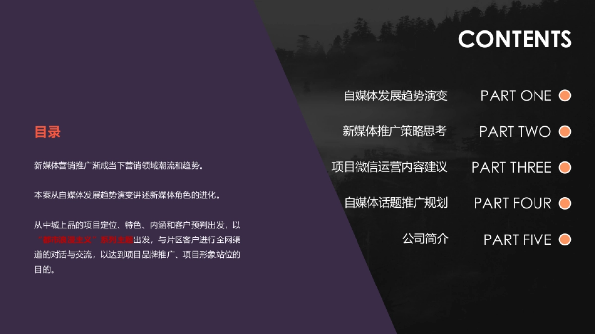 中城上品全网互动营销方案_第2页