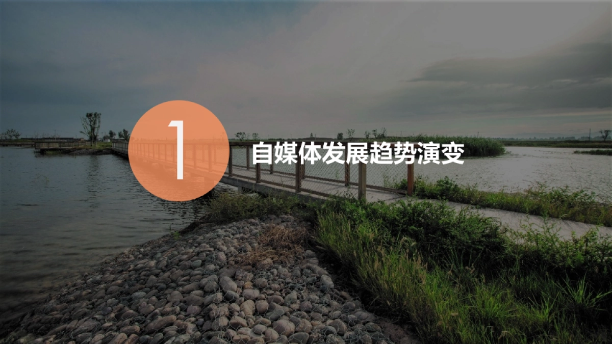 中城上品全网互动营销方案_第3页