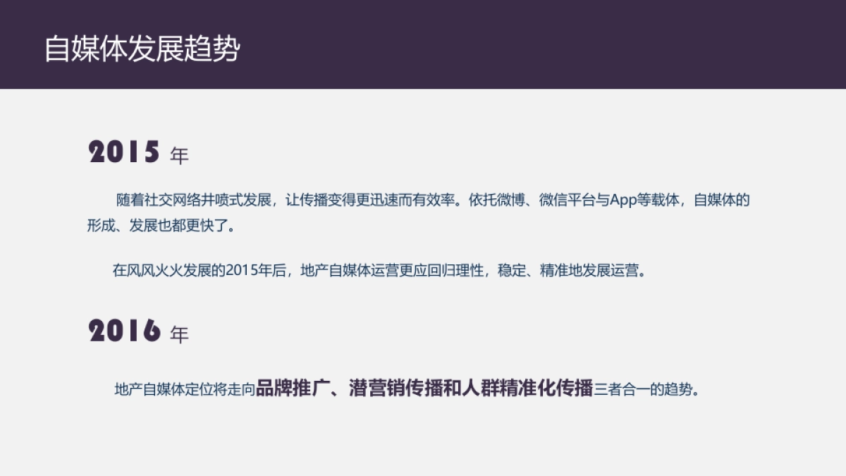 中城上品全网互动营销方案_第4页