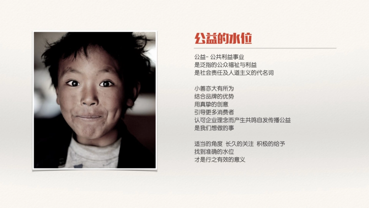 中粮公益营销活动方案_第2页