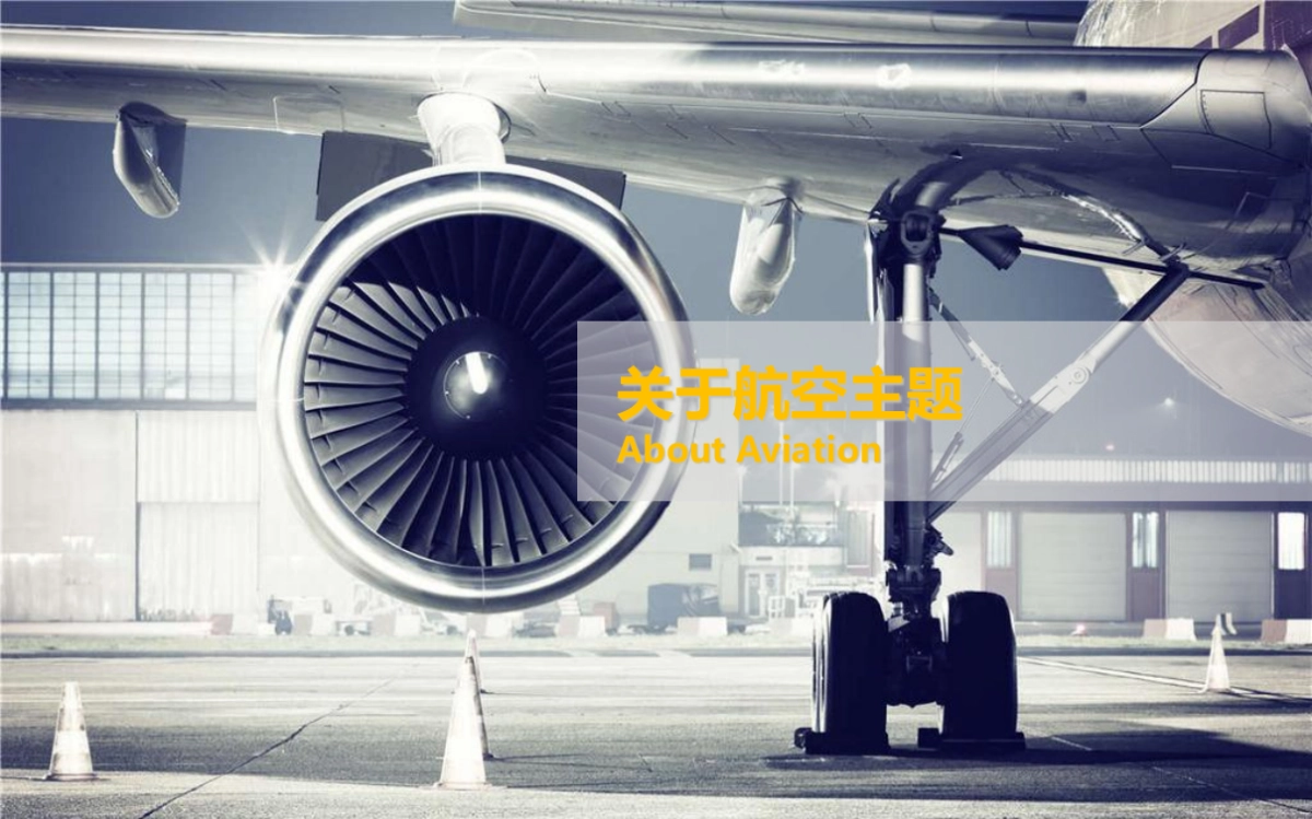 2017保利联发康桥营销中心开放飞机主题活动案_第7页