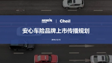 220页：2017年安心车险上市传播比稿