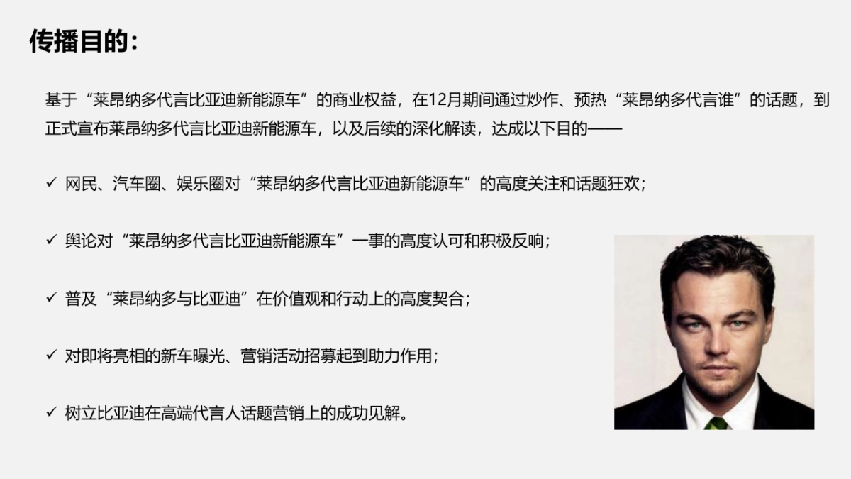 代言人&比亚迪传播方案_第2页