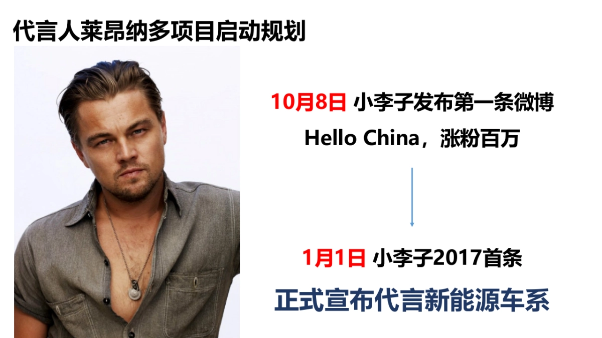 代言人&比亚迪传播方案_第6页