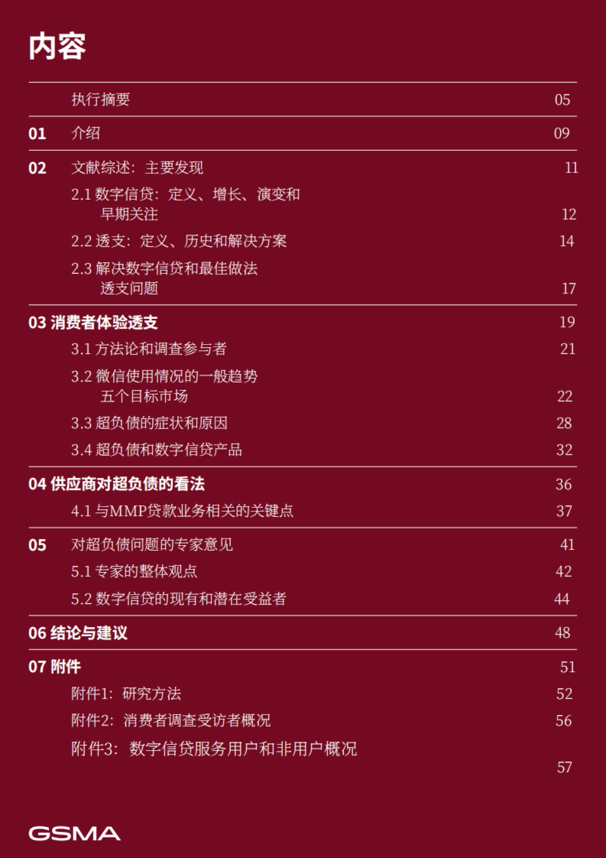 2024财务健康：数字时代消费者过度负债问题解决策略研究报告_第3页