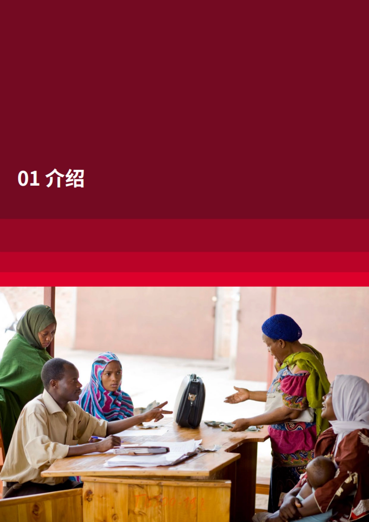 2024财务健康：数字时代消费者过度负债问题解决策略研究报告_第9页