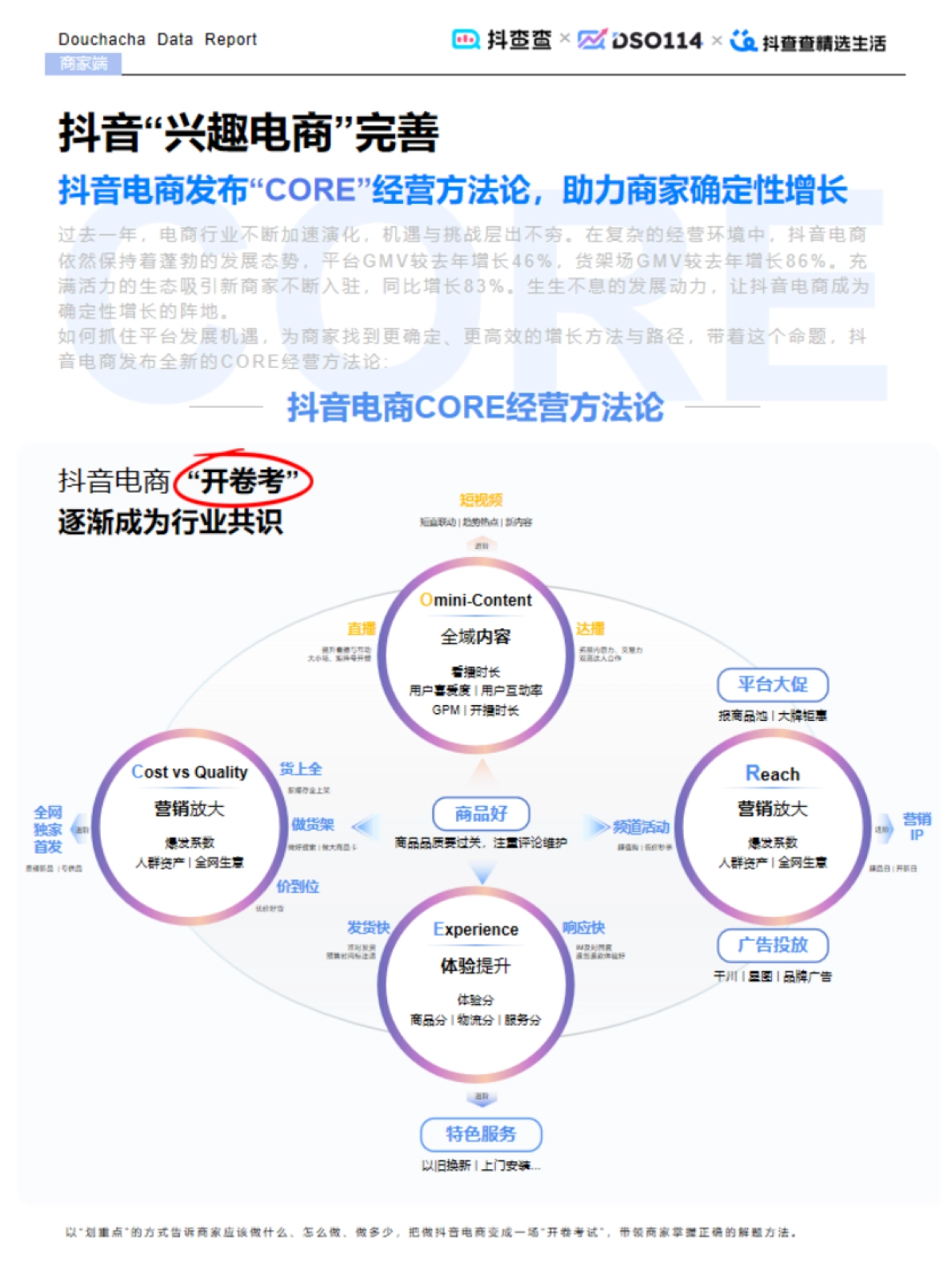 2024达人电商全年报_第6页
