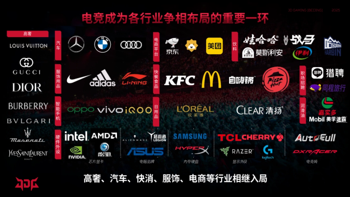 JDG无畏契约分部2025年度战队合作招商方案_第8页