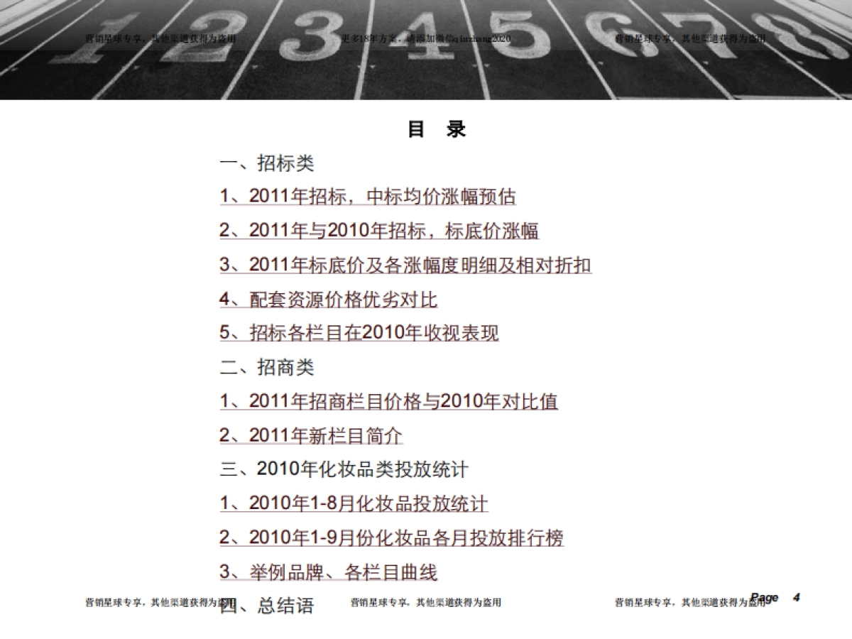 湖南卫视经典广告招标、招商方案 _第4页