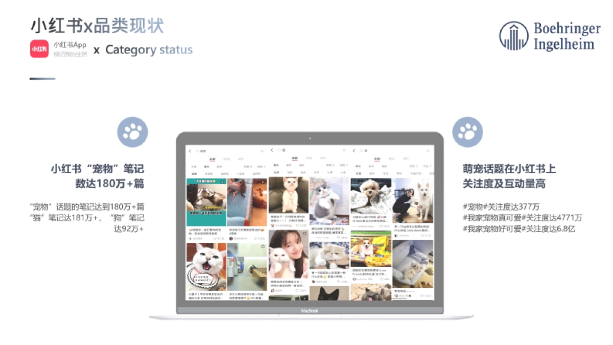 2020勃林格殷格翰宠物食品7-8月投放规划-70P_第6页