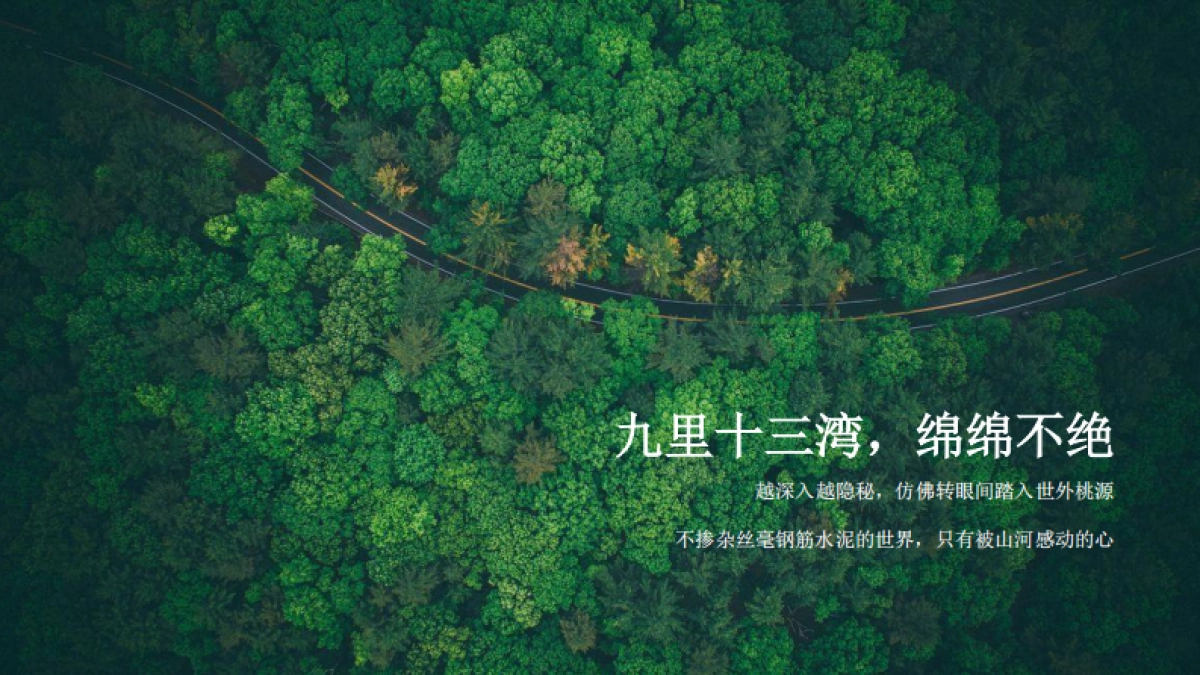 2020广州红蚁广告-南山十二院文旅项目策略推广案-113P_第8页