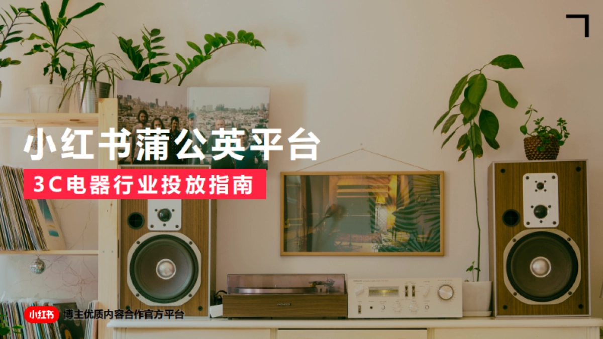 2022蒲公英3c及电器行业投放指南更新时间_第1页