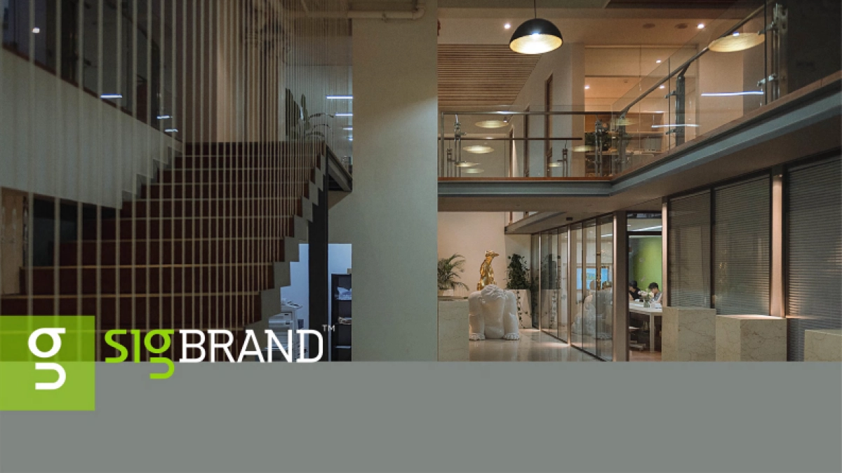 2022武汉光谷地王·南山领峯广告推广策略方案_第5页