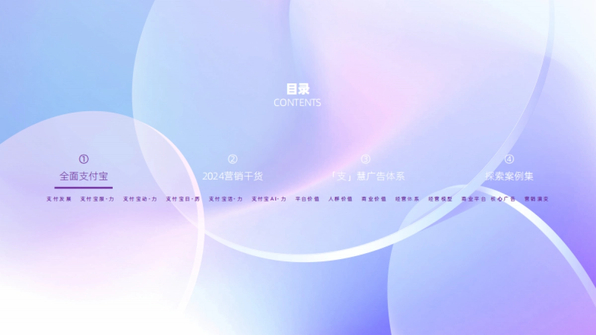 Alipay2024-支付宝广告营销手册_第2页