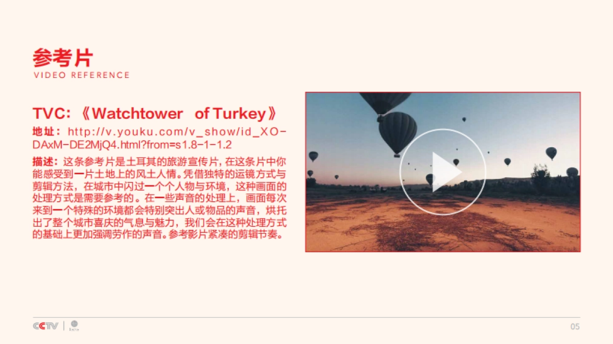 CCTV春晚公益广告创意方案_第6页