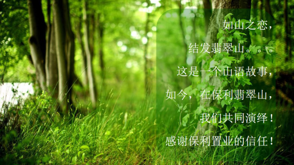 保利·翡翠山广告策略案-泉麟_第2页