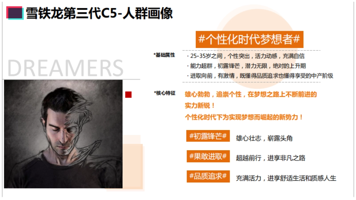 东风雪铁龙第三代C5区域投放策略方案_第8页