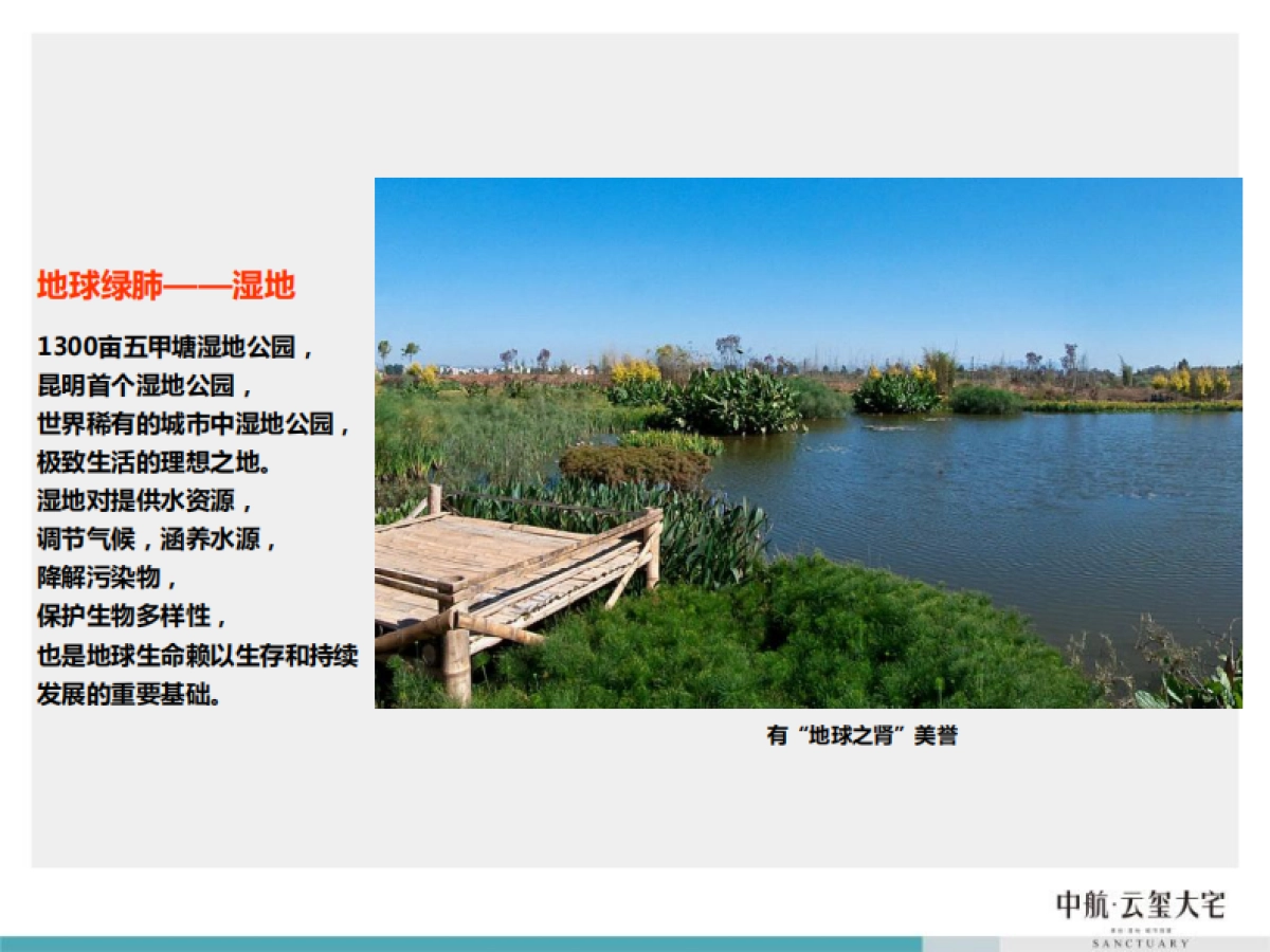 风火广告-中航云玺大宅整合应用传播_第9页