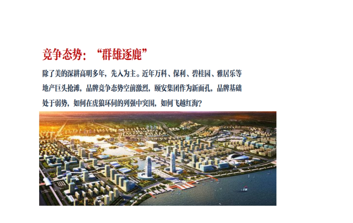 广州平八堂广告-颐安天璟名庭项目年度整合推广技术标方案_第6页