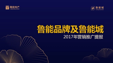 优点广告-鲁能品牌及鲁能城推广提报
