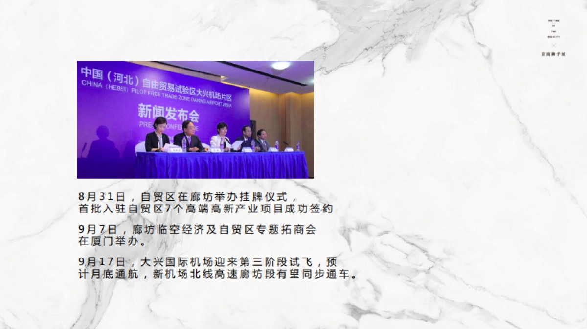 京龍骏广告-京南狮子城2020年度推广方案_第5页