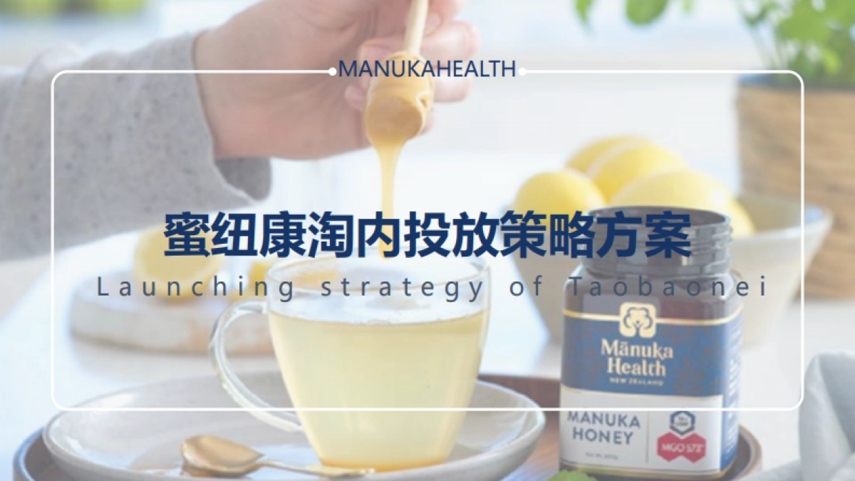 蜜纽康淘内投放策略方案_第1页