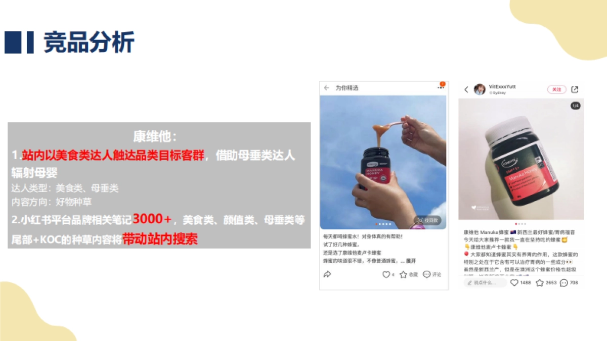 蜜纽康淘内投放策略方案_第8页