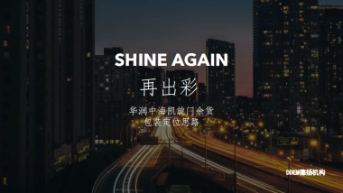 上海德扬广告-太原凯旋门万象大道商业中心提报方案