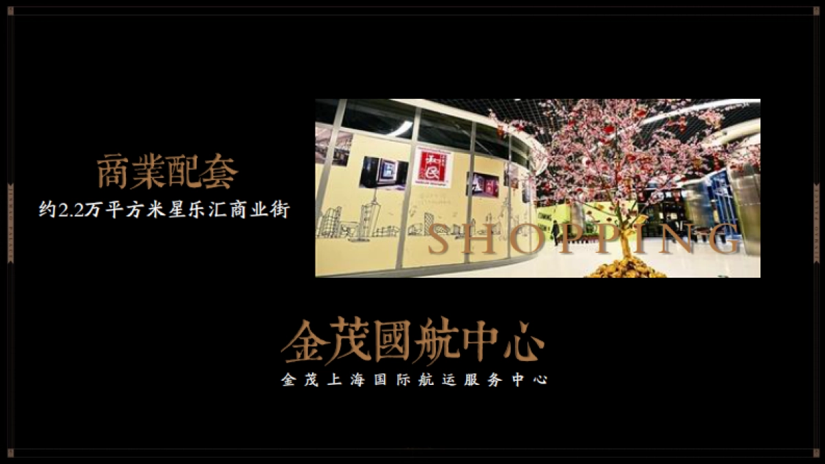 上海堂皇广告-上海金茂国航中心整体策略推广案_第6页