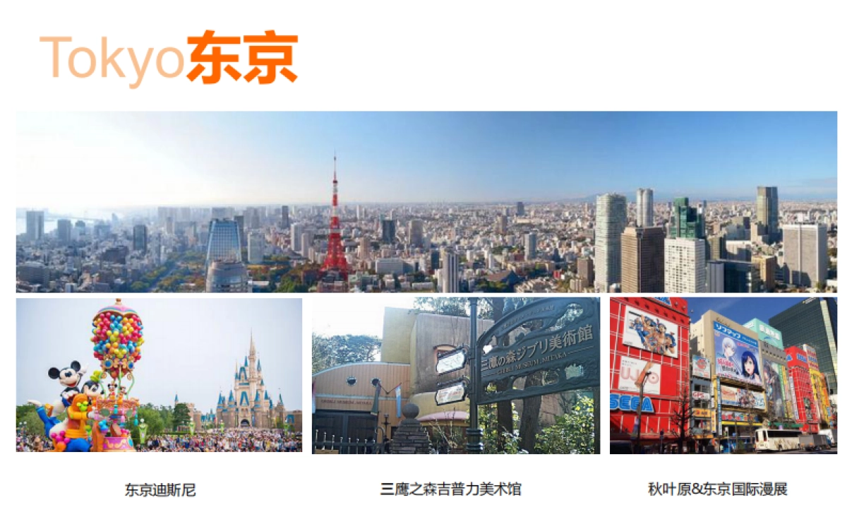 深圳第一生产力广告-北大资源宜昌中央文化区推广方案_第8页