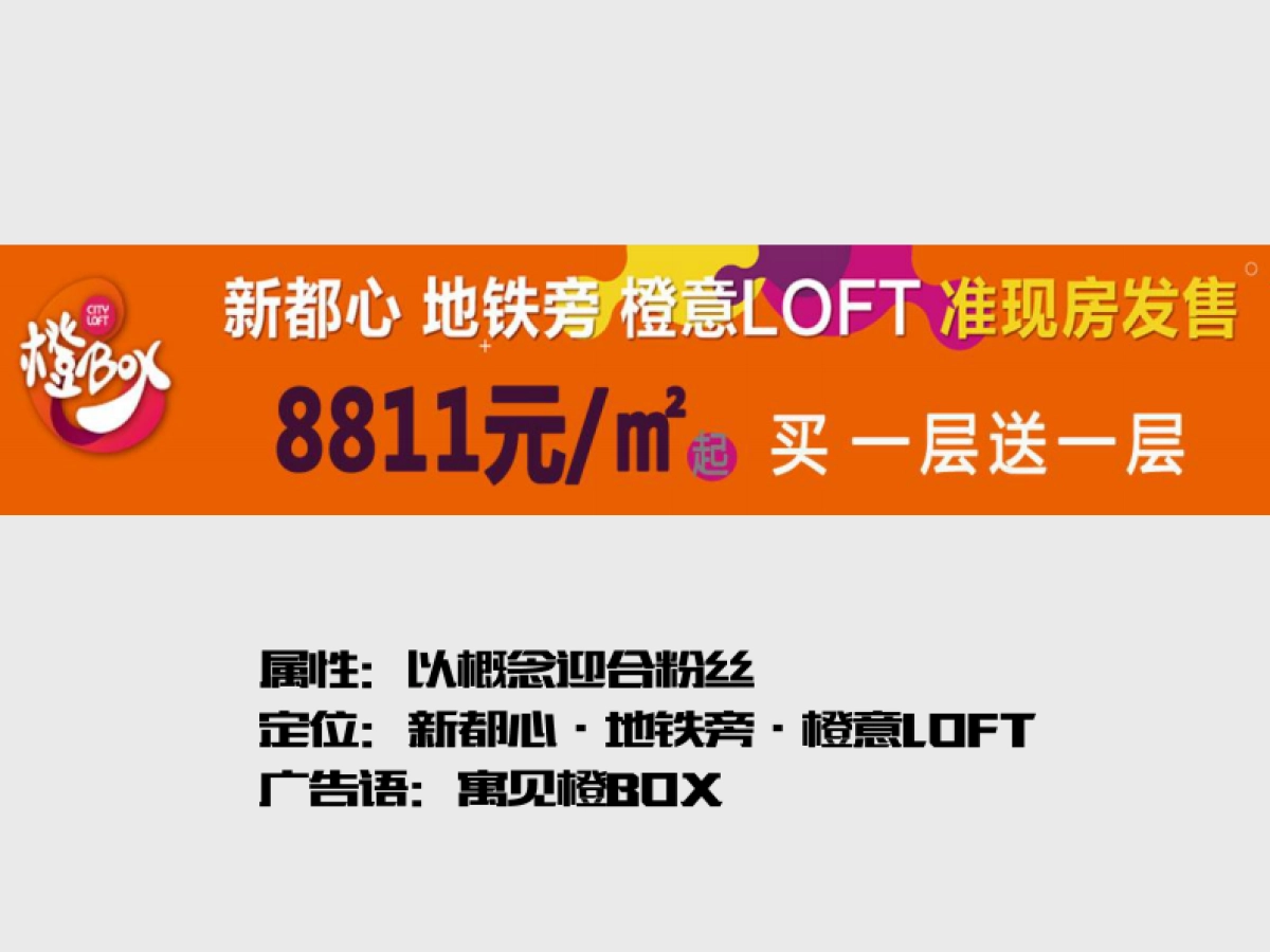 深圳心生万物-yolo青年公寓广告策略案_第7页