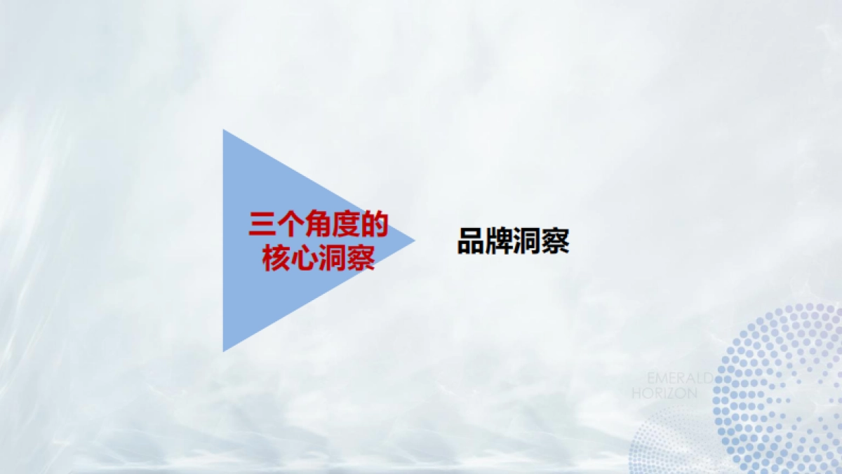 烨明机构-南京华侨城项目广告推广方案_第5页