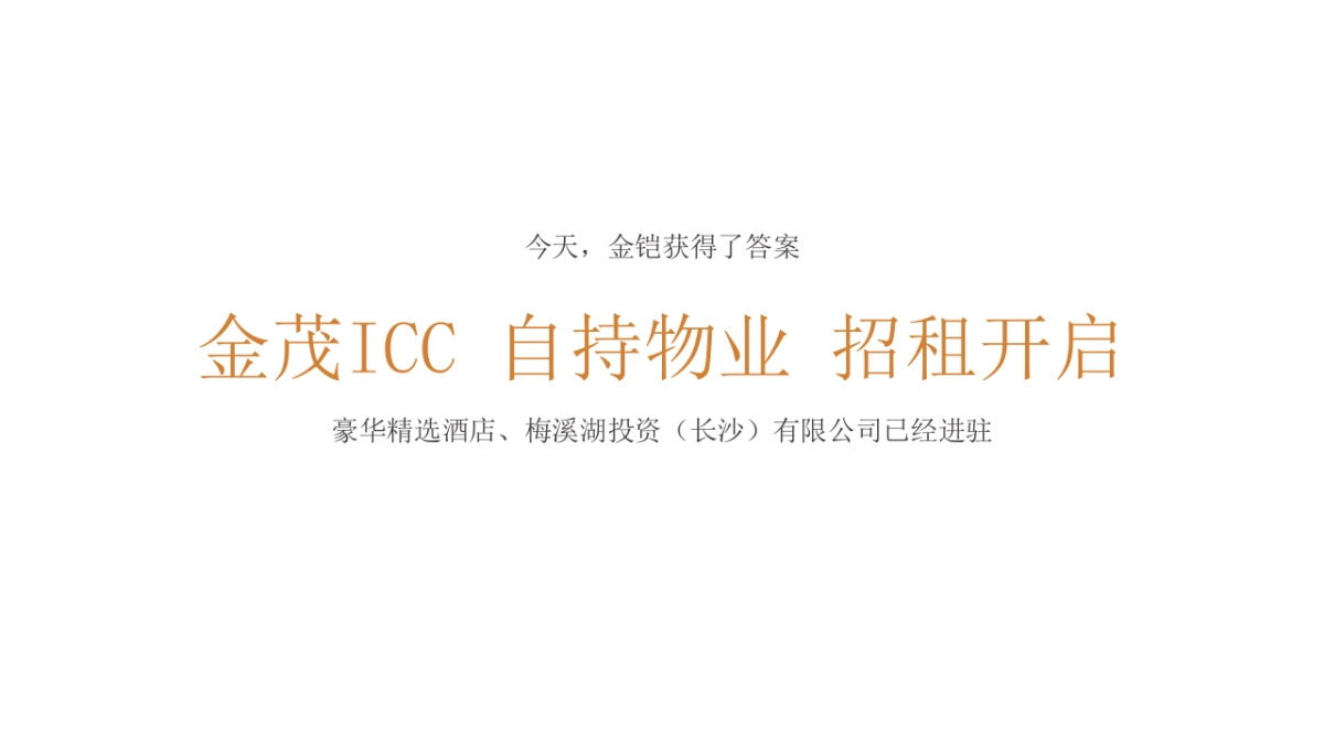 长沙金茂ICC中心推广提报-为长沙 瞰见-金铠广告推广提报_第4页